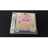 BIG BRAIN ACADEMY Nintendo DS - usado, completo